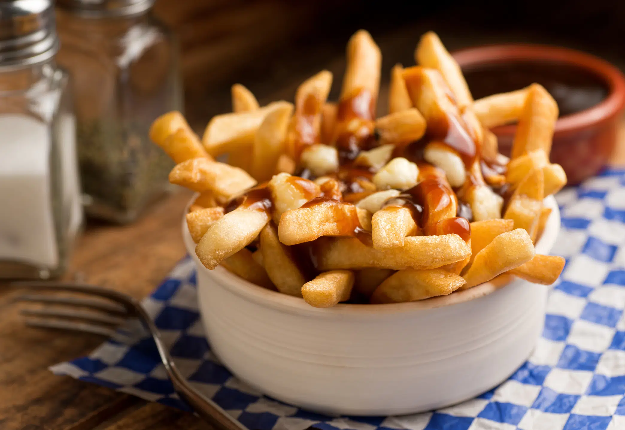 Canada’s best 5 poutines…if you can call them that MY96 FM