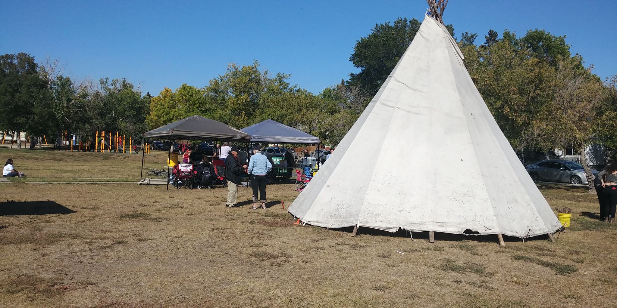 Dewdney Park to be renamed Buffalo Meadows - Vimarsana News