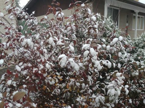 Parts of Saskatchewan under snowfall warning - Vimarsana News