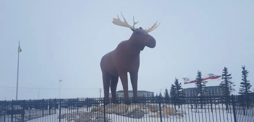 mac the moose