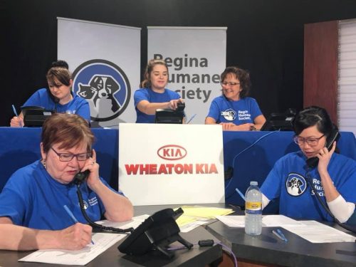 Regina Humane Society telethon goes Sunday night - Vimarsana News