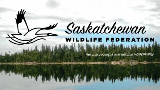 used hunting equipment