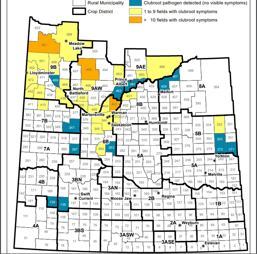 Sask clubroot map released | 620 CKRM The Voice of Saskatchewan