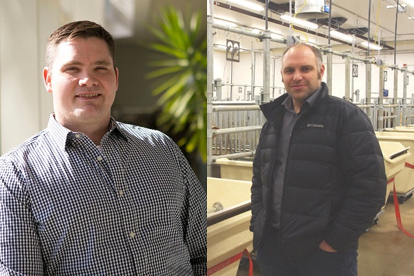 Two USask research projects aim to help cows, forage plants deal with stresses - Vimarsana News