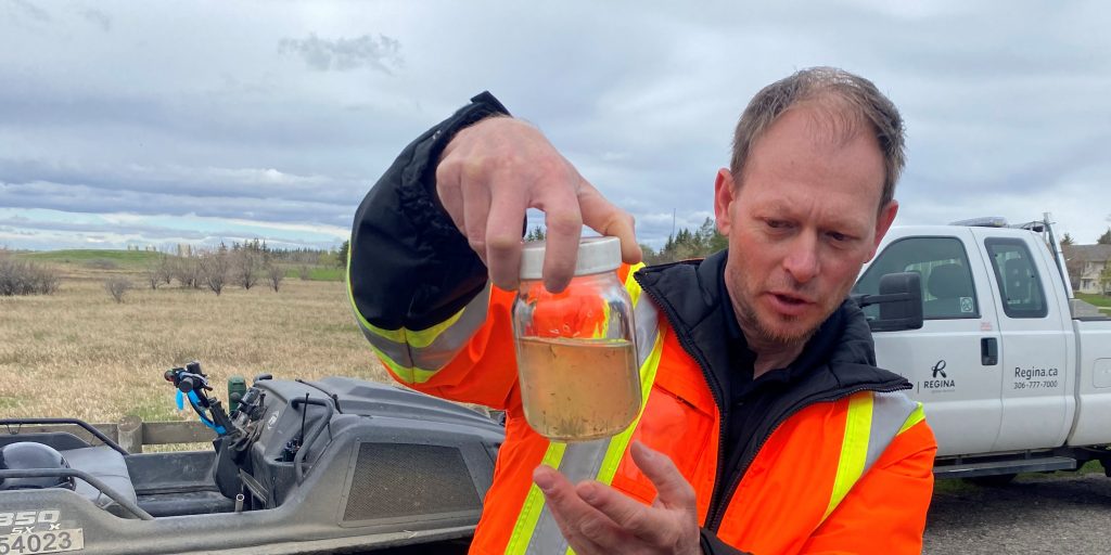 City declares war on mosquito larvae - Vimarsana News