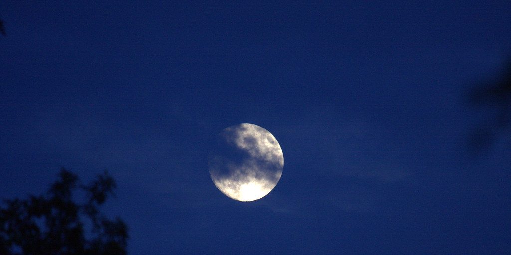 Residents invited to see unique talent and art at the first Winter Moon Festival - Vimarsana News