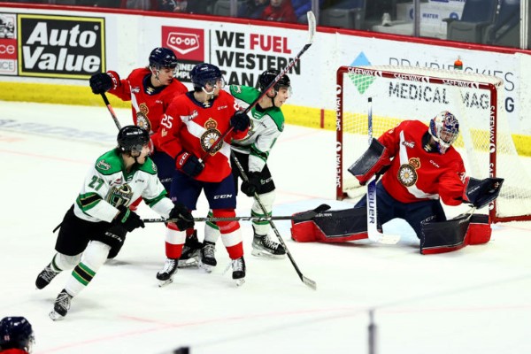 Pats Drop Another at Home - Vimarsana News