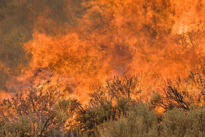 Be Careful with Fire During the Long Weekend - Vimarsana News