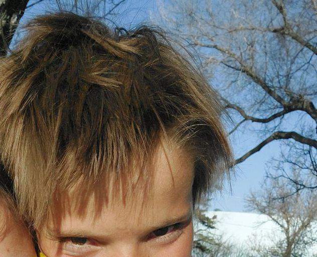 Coronach RCMP search for missing boy - Vimarsana News