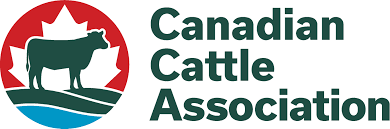 Two Sask. residents among semi-finalists in CCA's Canadian Cattle Young Leaders Program - Vimarsana News