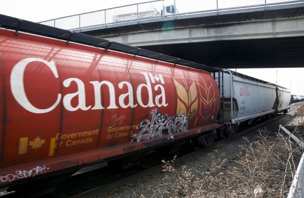 Bunge-Viterra merger has groups raising concerns of possible lack of competition - Vimarsana News