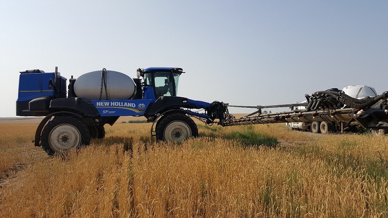 Spraying and scouting crop development the focus of this week's Crop Report | 620 CKRM The Voice of Saskatchewan - Vimarsana News