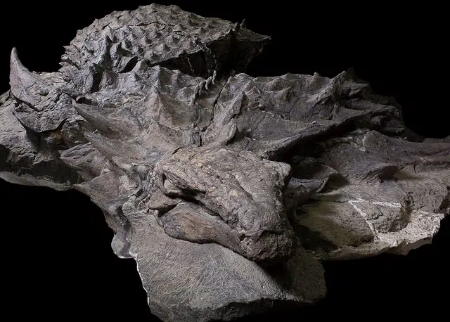 oldest dinosaur remains