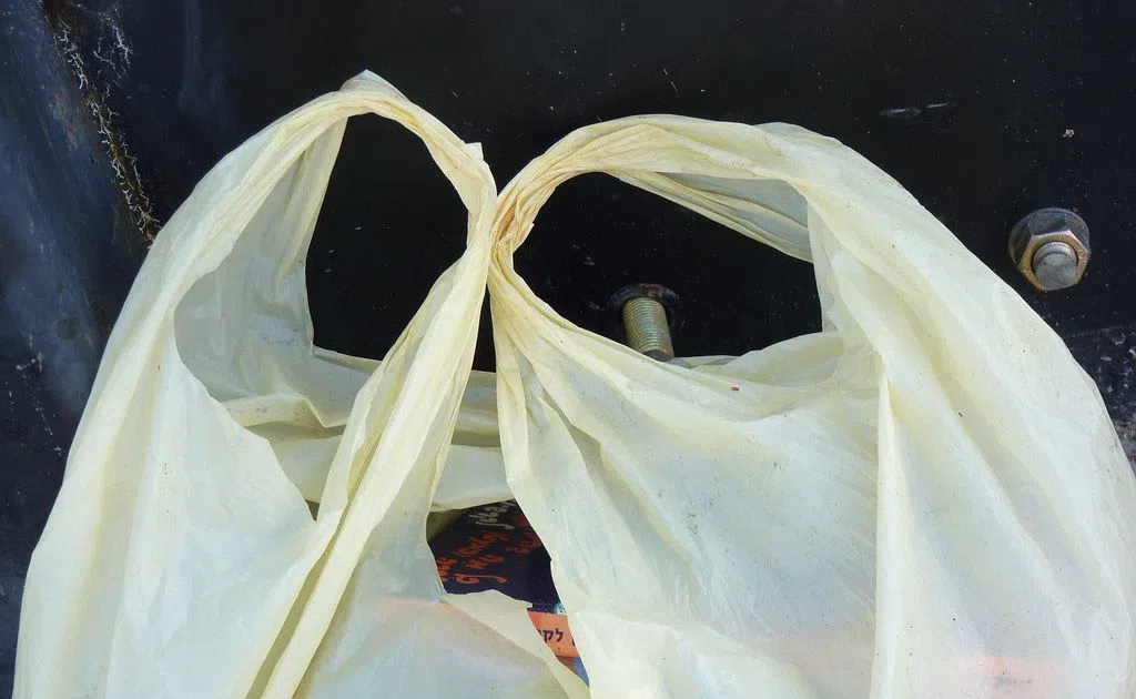 Loblaws to discontinue singleuse plastic shopping bags in Saskatchewan