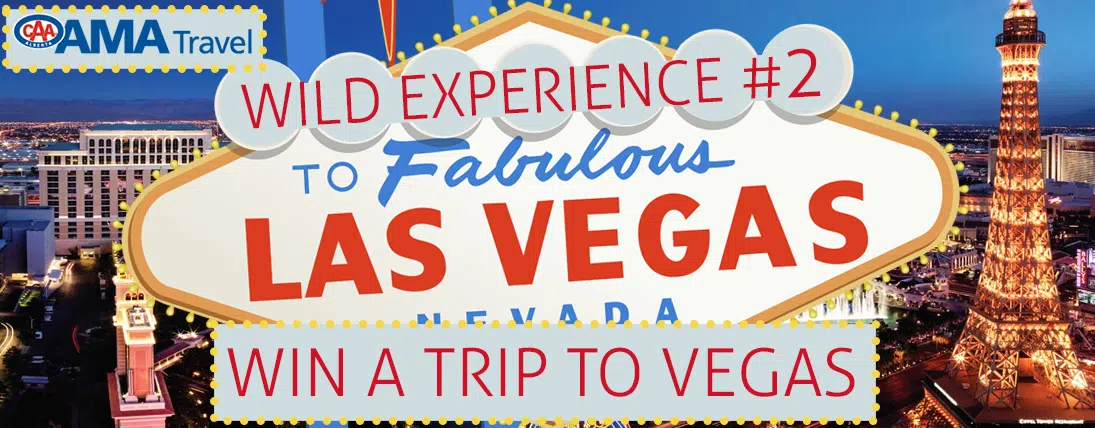 Wild Experience Vegas! | WILD 953 - Calgary's New Country