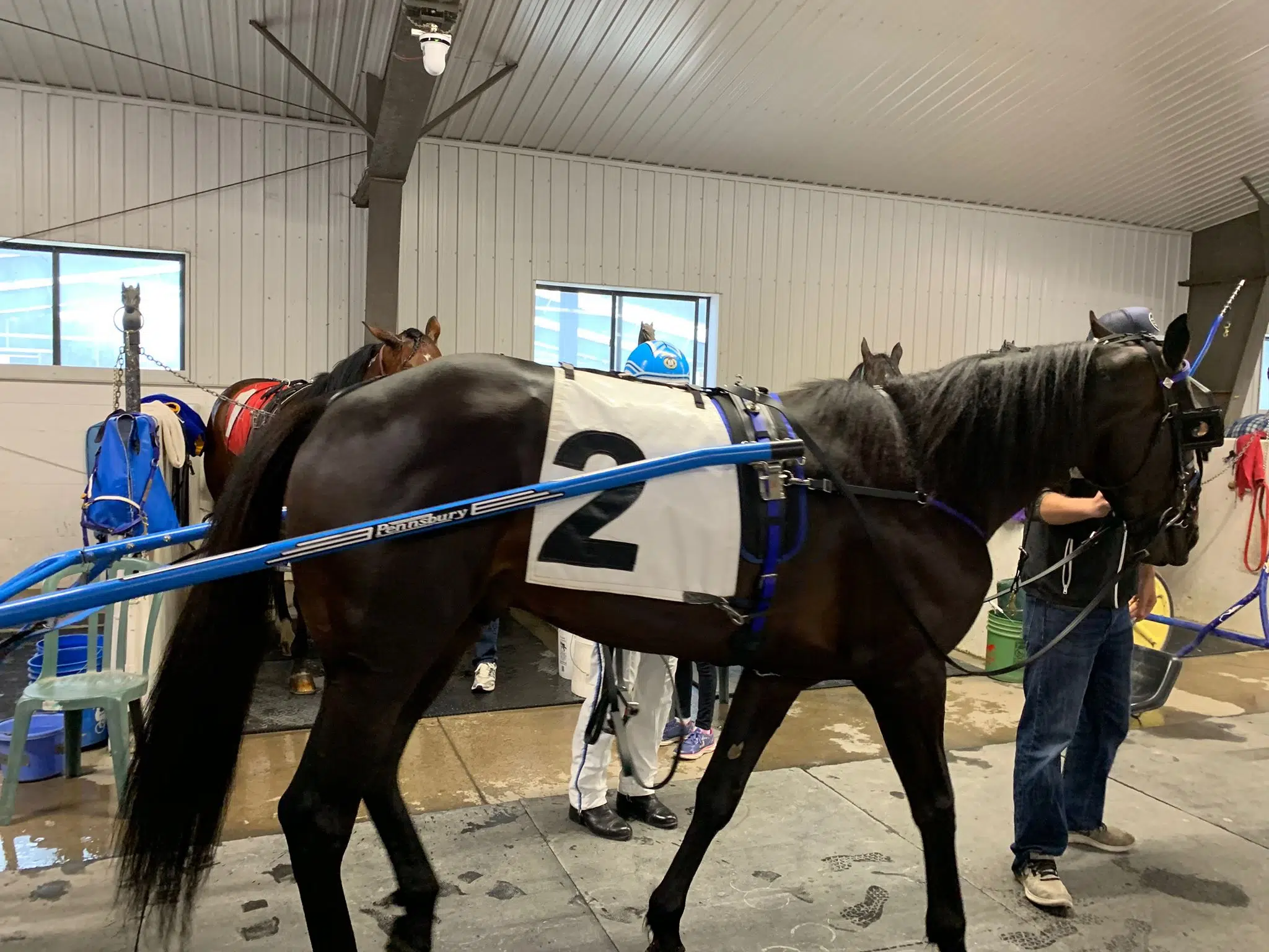 Pepsi North America Cup returns to Woodbine Mohawk this weekend