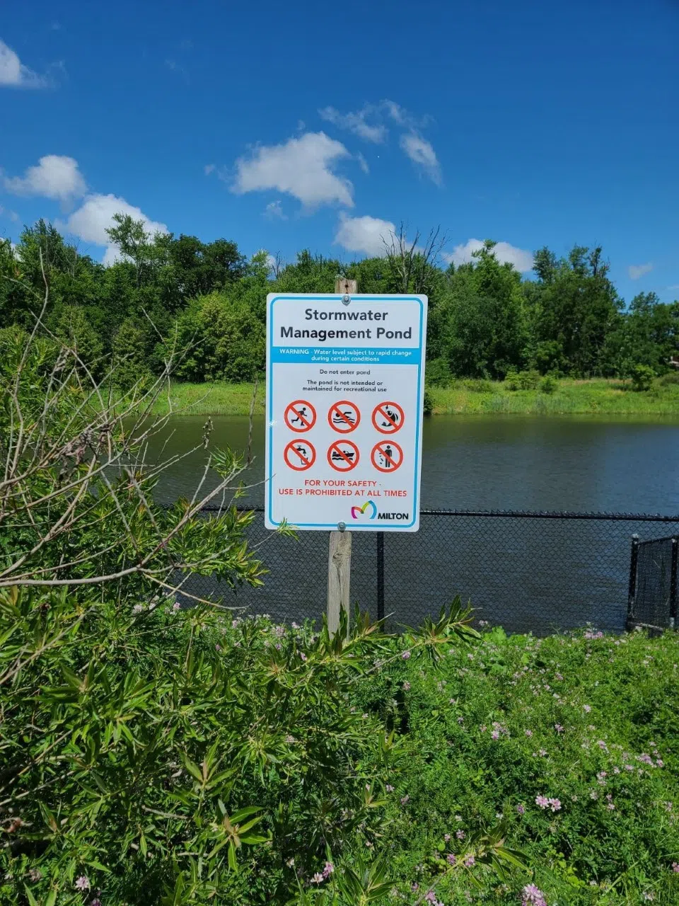 Town of Milton cleaning up another local pond