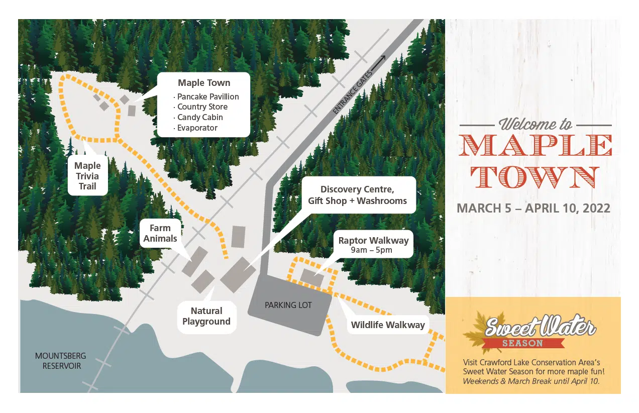 Mountsberg’s Maple Town is now open