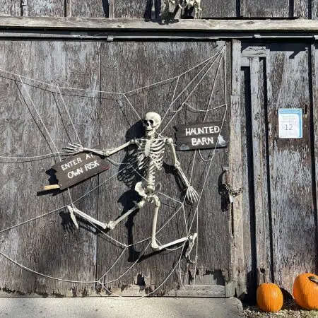 Check out Mountsberg’s Spooktacular event this Fall