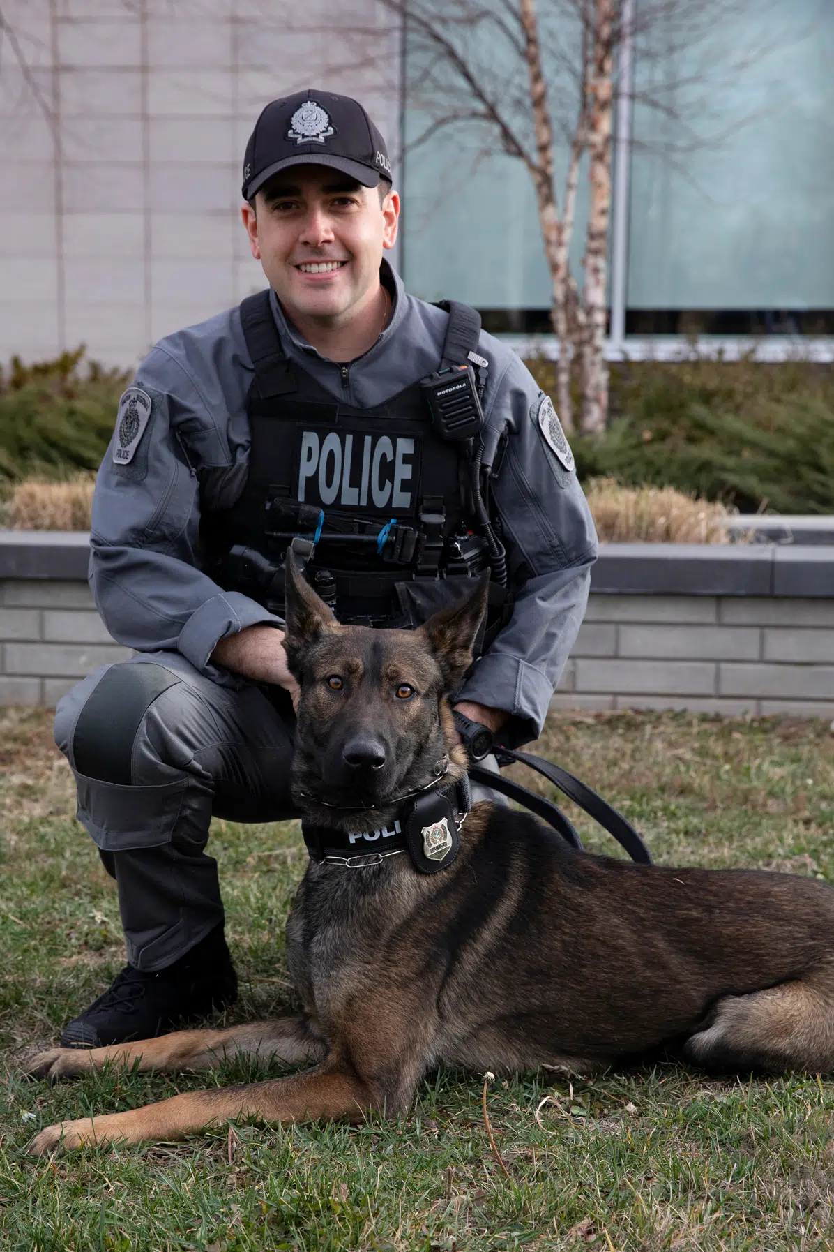 Meet Blue, the newest Halton Police Service Dog