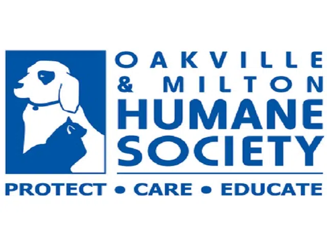 COVID-19: Oakville Milton Humane Society targeting June 8th for opening ...