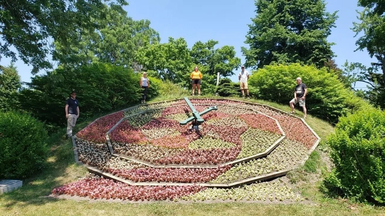 Cobourg’s floral clock showcased today, displaying between 6,500-7,500 ...