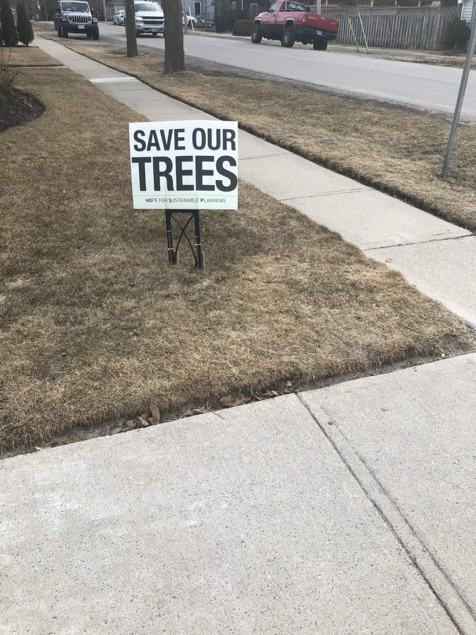 EXCLUSIVE: Port Hope residents campaigning to save the trees | 93.3 myFM