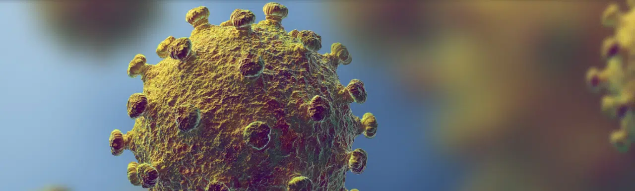 A Dozen Covid 19 Cases In Ottawa Linked To Thanksgiving Dinner In Renfrew County 104 9 Pembroke Today