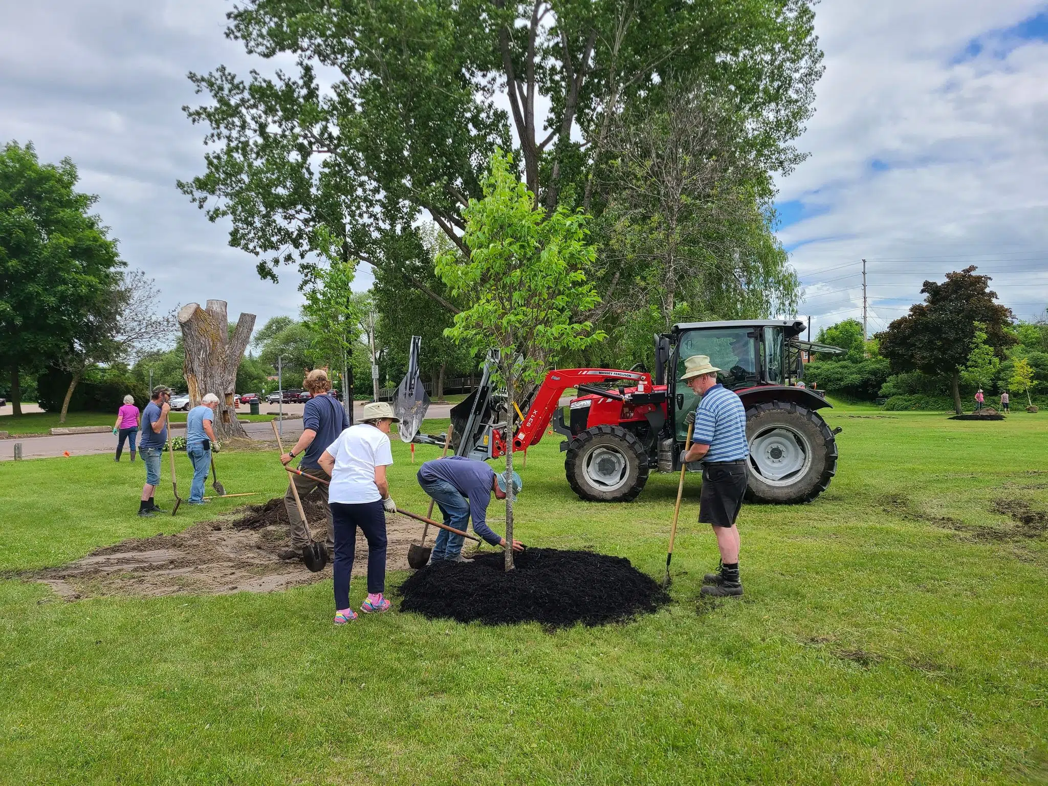 Volunteer “army” helps plant 26 trees at arboretum in Pembroke’s ...