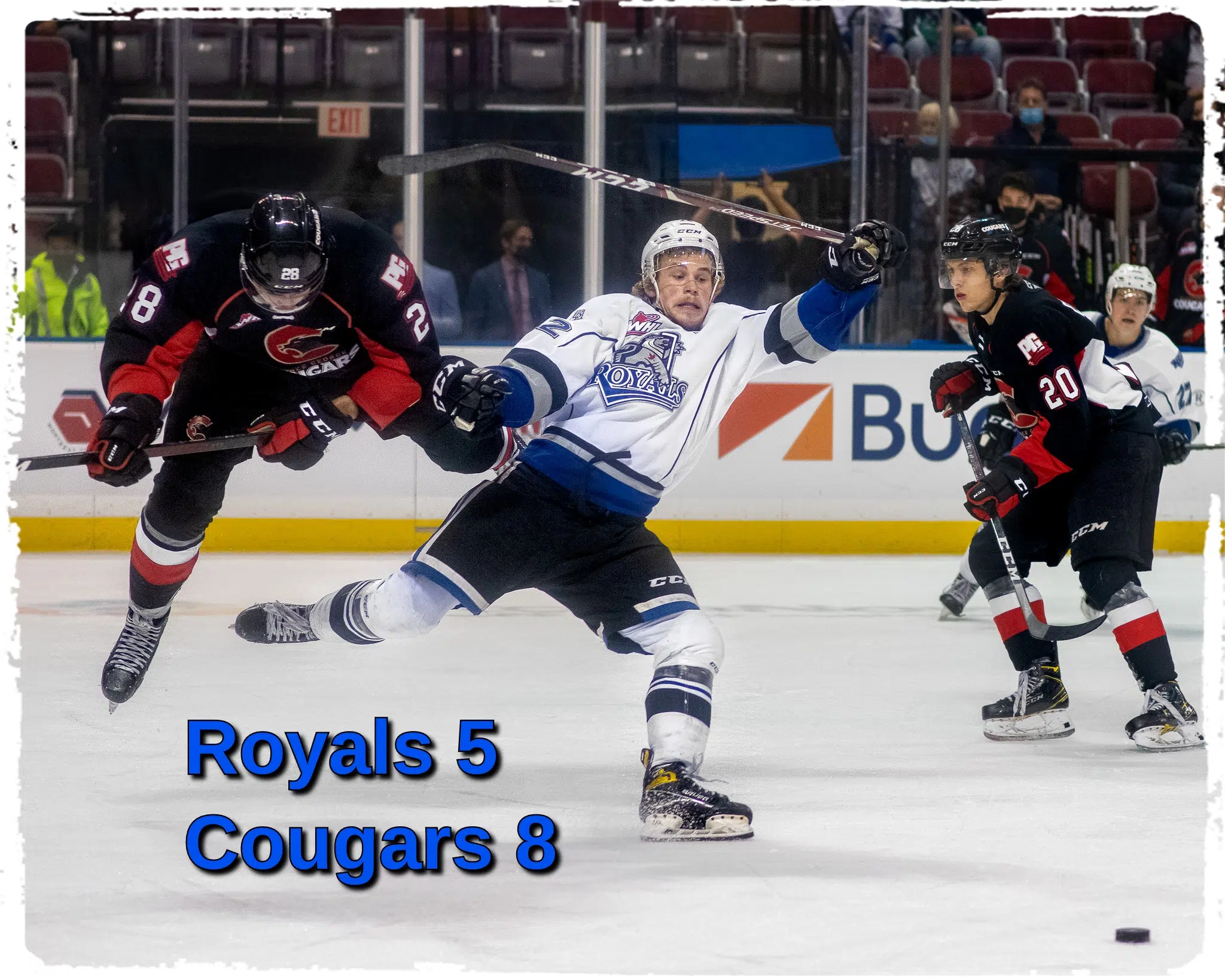 Victoria Royals lose pre-season opener to Prince George Cougars 5-0 - BVM  Sports