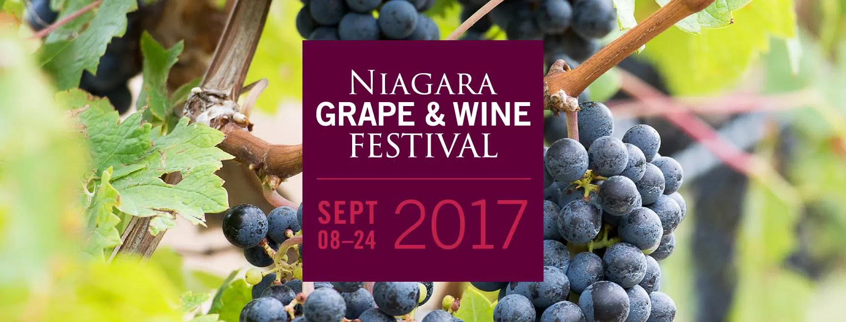 Niagara Grape and Wine Festival VIP Packs GiantFM