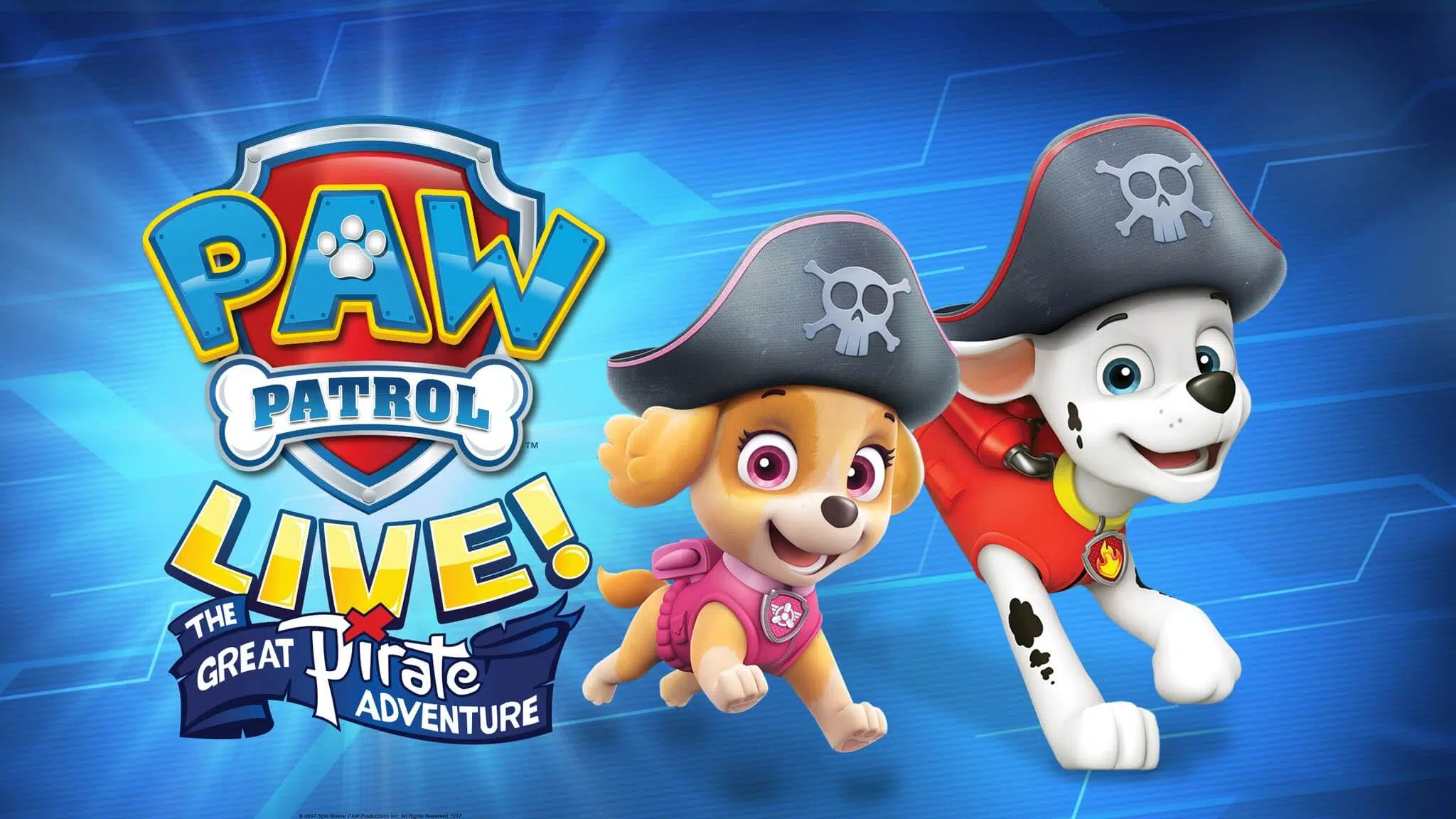 pirate ryder paw patrol