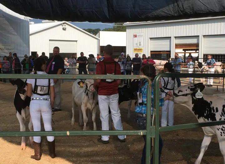 Oconto County Fair wraps up big weekend TCHDailyNews