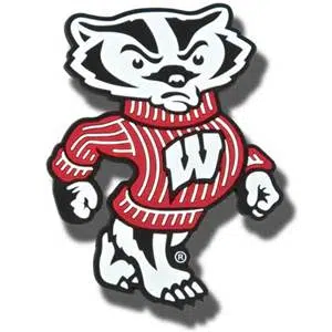 More honors for Badger football | TCHDailyNews