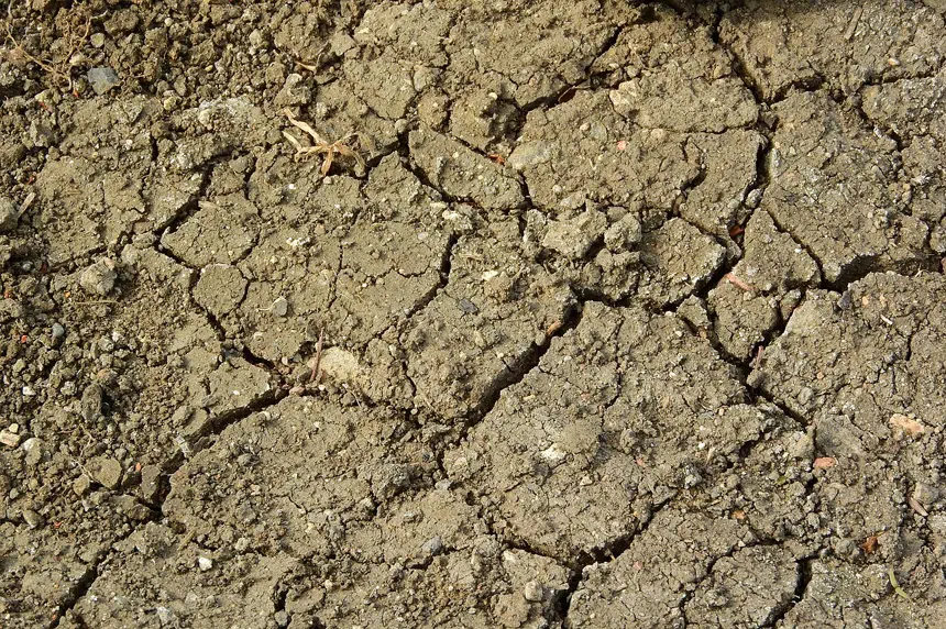 Saskatchewan could be facing its worst drought on record