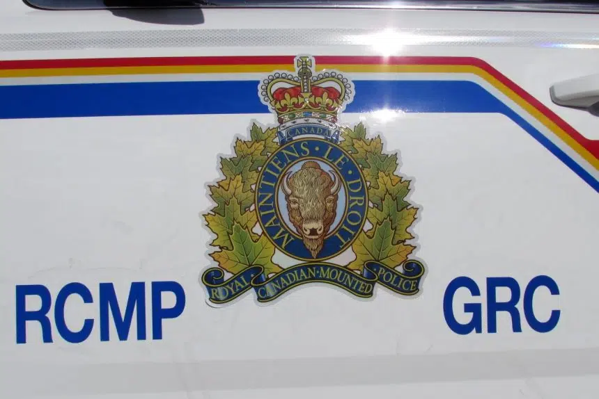 Two arrested after wild ride ends near Moosomin