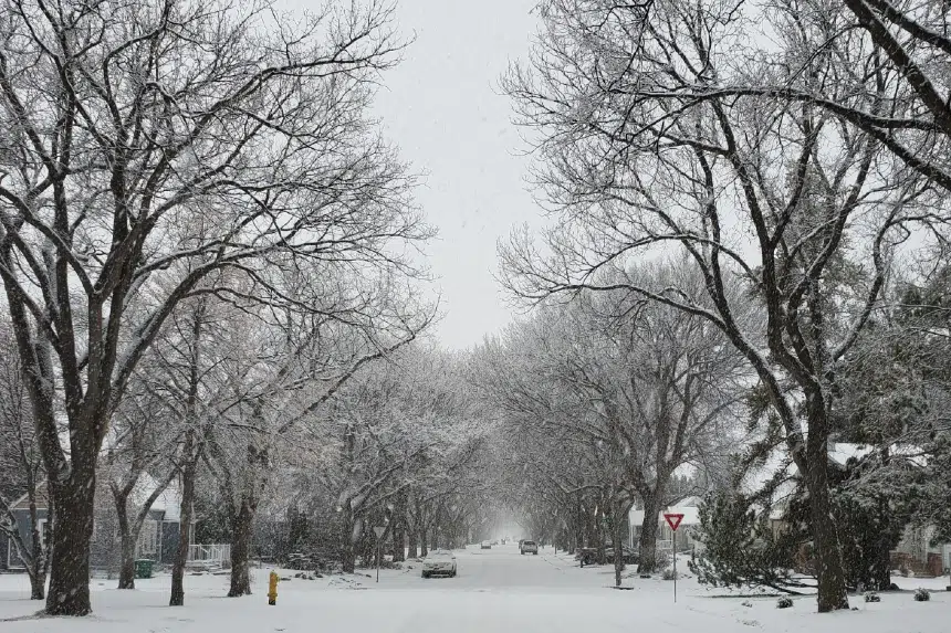 Snowy blast of winter on its way to Saskatchewan