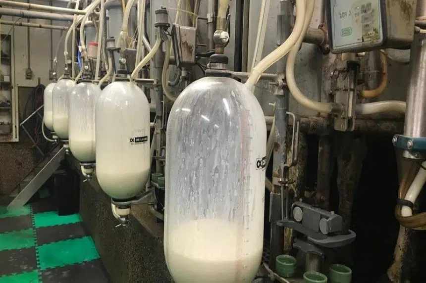 Saskatchewan dairy farmer says industry seeing ‘unprecedented’ costs