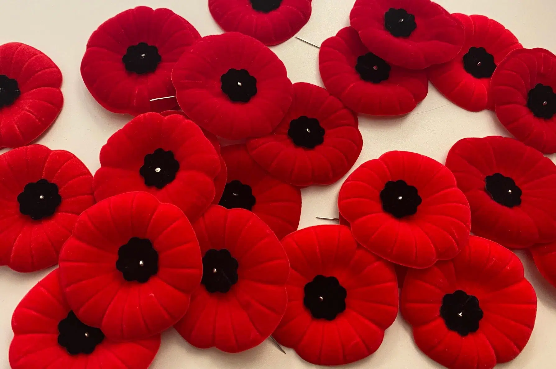 Royal Canadian Legion’s Poppy Campaign kicks off in Saskatchewan