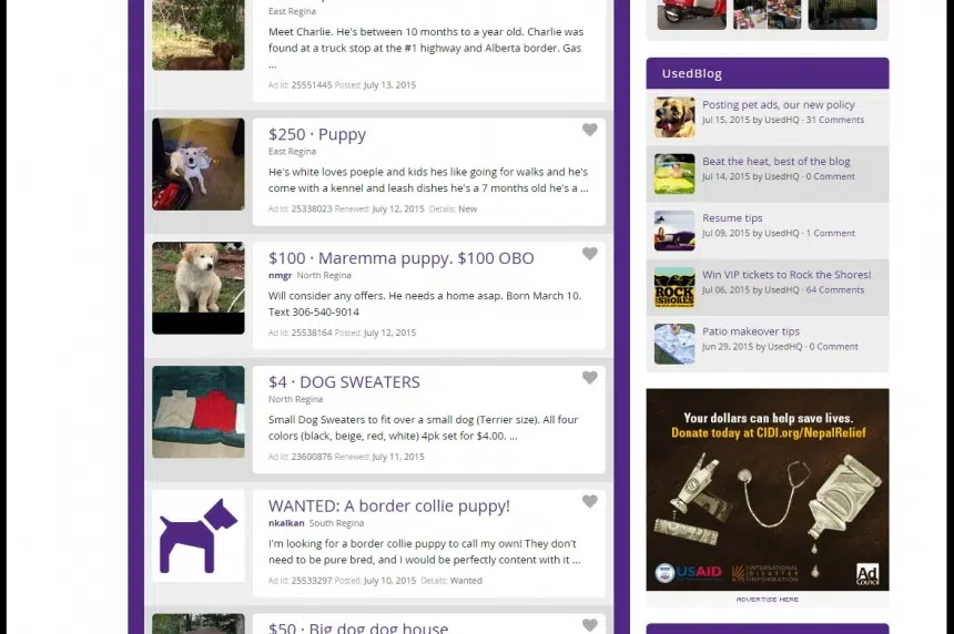 Pet breeders banned from Regina classifieds site 980 CJME