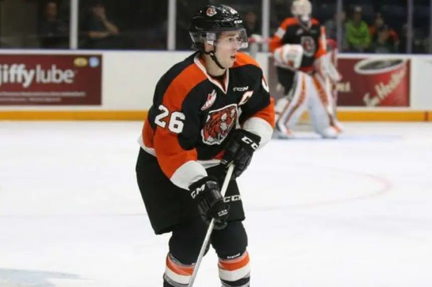 Regina Pats add former 50goal scorer from Medicine Hat at deadline