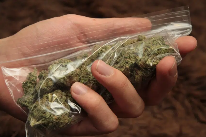 Sask. First Nation ready to challenge province over right to sell pot ...