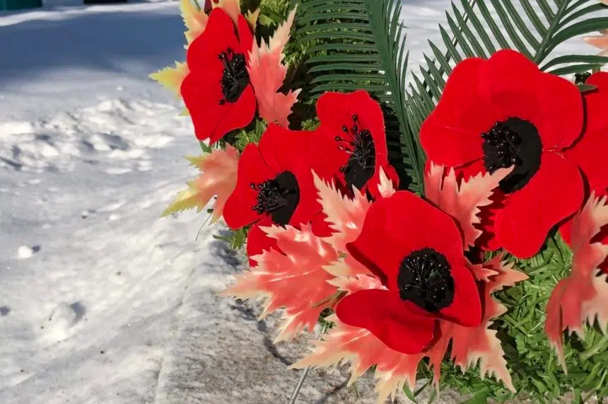 Royal Canadian Legion - Topics & Posted Articles - Page 11 Poppy2-e1510590516767