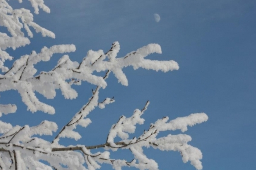 Saskatchewan Parks offering winter adventure tours to four parks - Vimarsana News