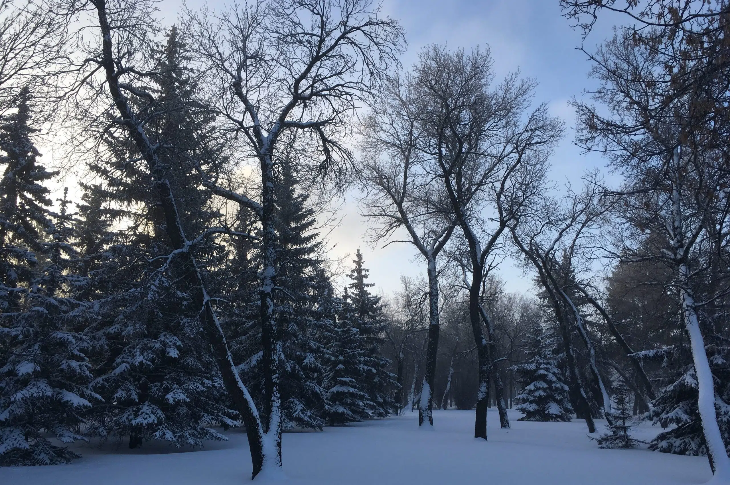 Extreme cold hits parts of Sask.