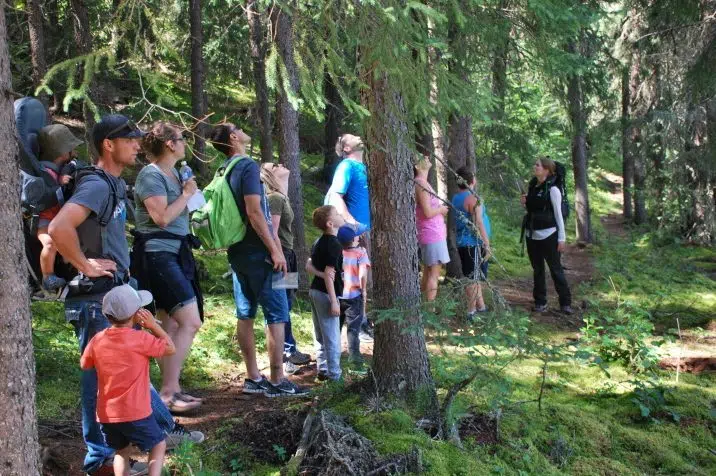 Survival camps being offered in Saskatchewan parks
