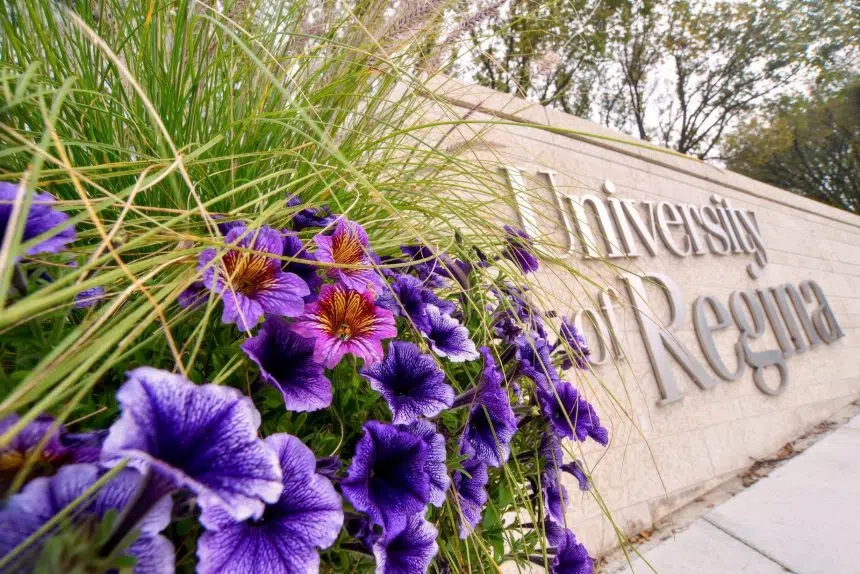 Condemnation after U of R prof directs ‘racist comments’ at students