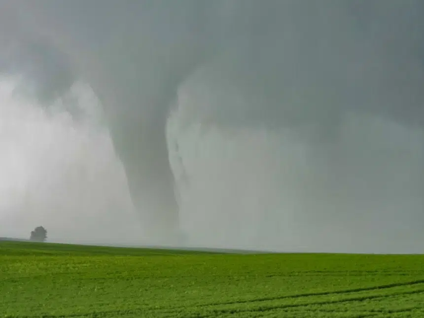 Environment Canada says at least two tornadoes touched down Saturday