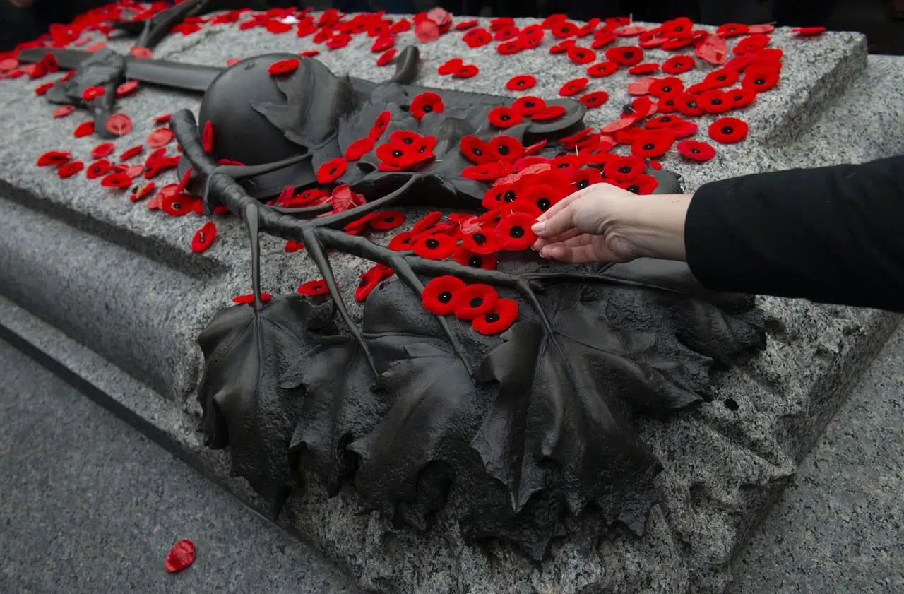 Fewer people plan to attend virtual or in-person Remembrance Day ceremonies: poll