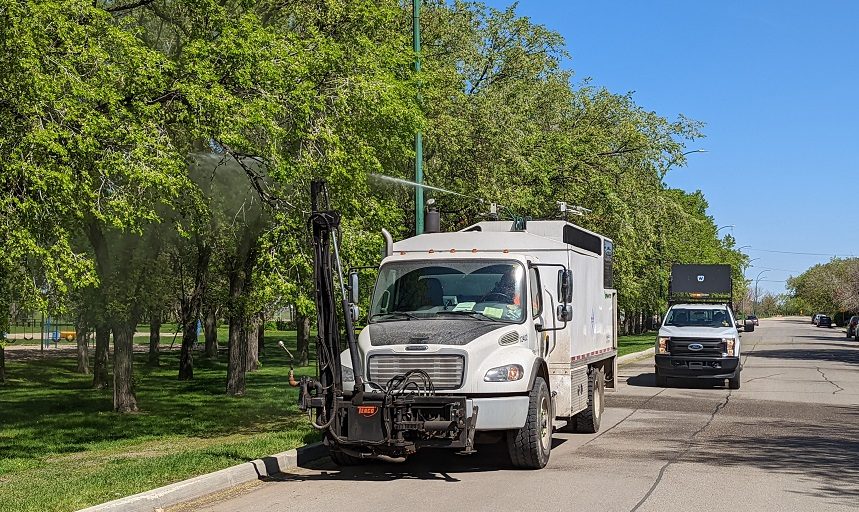 City of Regina expecting busy few weeks with cankerworms and mosquitoes - Vimarsana News